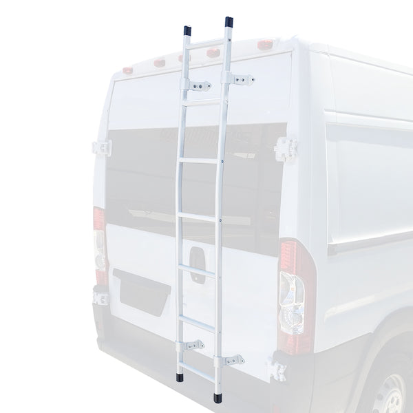 Promaster rear access ladder white