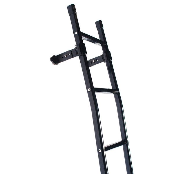 Promaster rear ladder